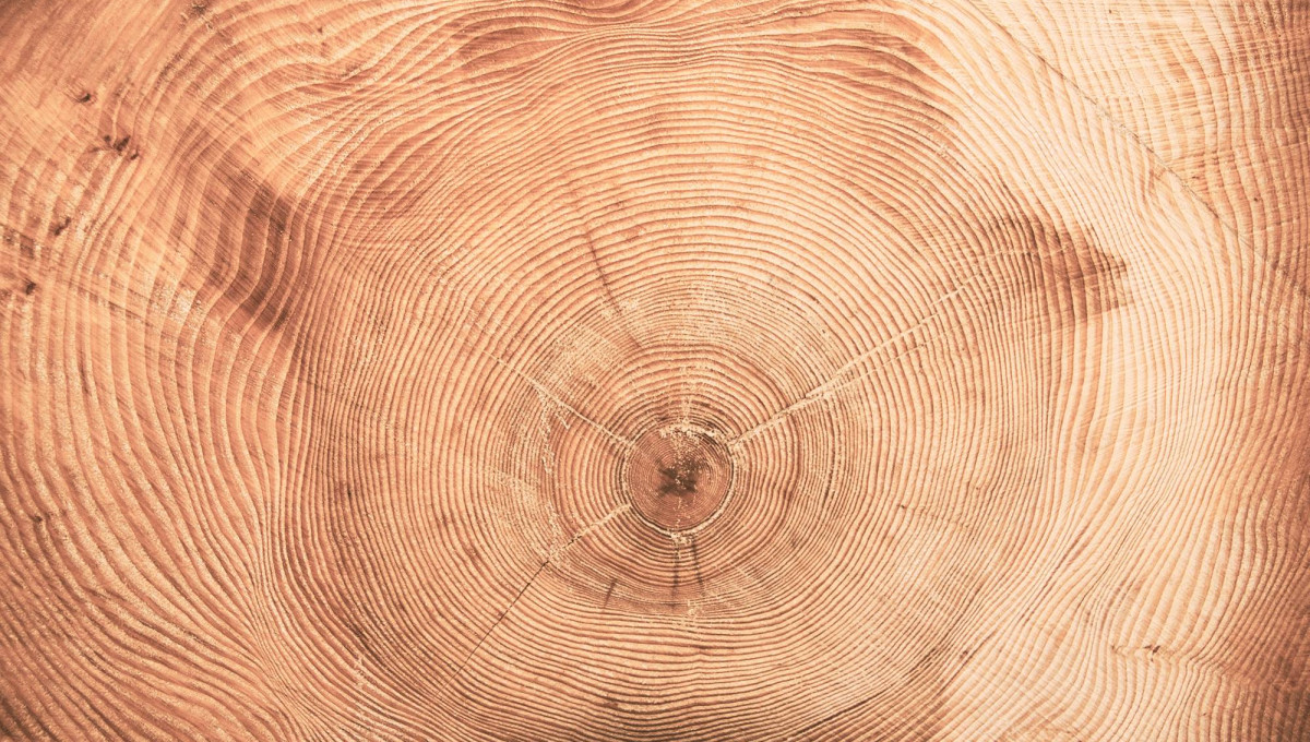 Typické vlastnosti masivního dřeva