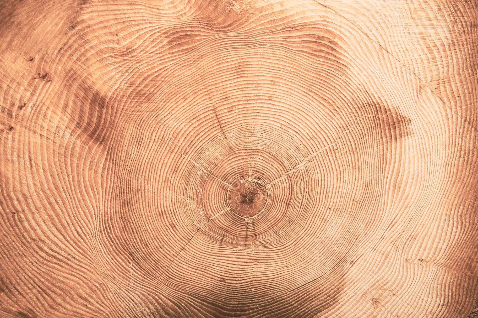 Typické vlastnosti masivního dřeva